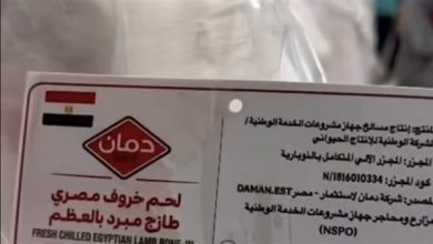 الأردن يستقبل أول شحنة لحوم مبردة من مصر تضم الخراف والعجول