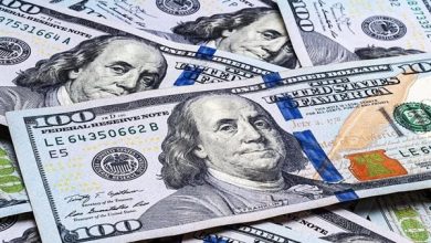 الدولار يسجل انخفاضًا ملحوظًا مقابل الجنيه المصري مع تحديثات جديدة في السوق