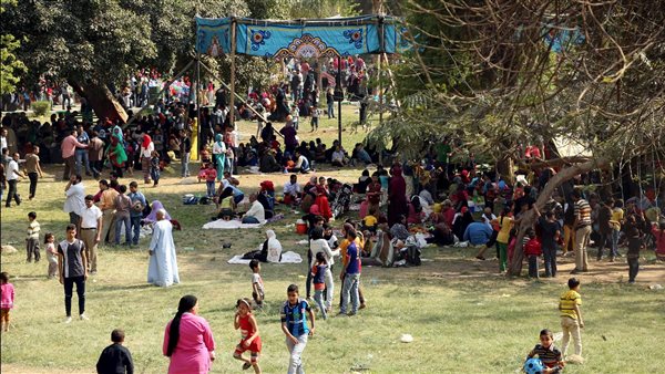 الزراعة تزيد استعداداتها لشم النسيم وتعزز الرقابة على الأسماك المملحة