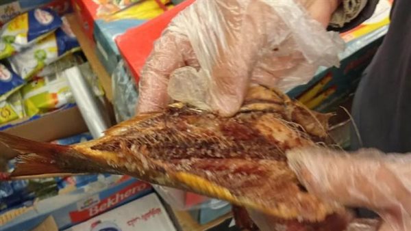 الزراعة تضبط 71 طن أسماك مملحة غير صالحة في حملات استباقية قبل شم النسيم