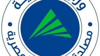 الضرائب تحدد آخر موعد لتقديم إقرارات الأشخاص الاعتبارية