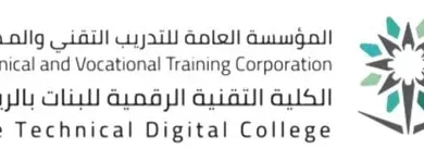 الكلية الرقمية للبنات تفوز بمسابقة القاهرة 2026 للمهارات المهنية