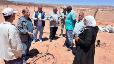 تخصيص 5 ملايين جنيه لتمكين المرأة في سيناء وتخفيض 50% من خدمات الميكنة خلال عام