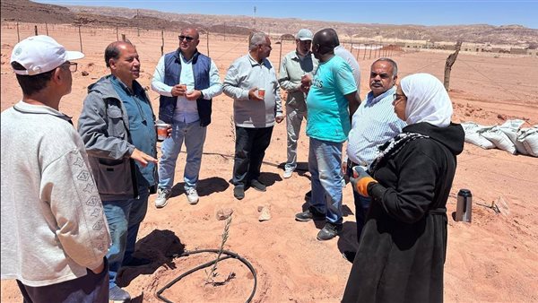 تخصيص 5 ملايين جنيه لتمكين المرأة في سيناء وتخفيض 50% من خدمات الميكنة خلال عام