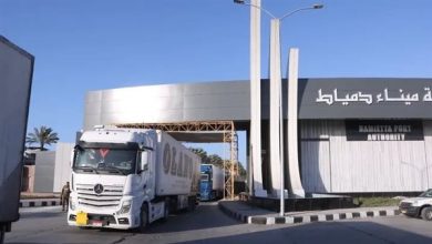 تداول 27 سفينة حاويات وبضائع عامة في ميناء دمياط