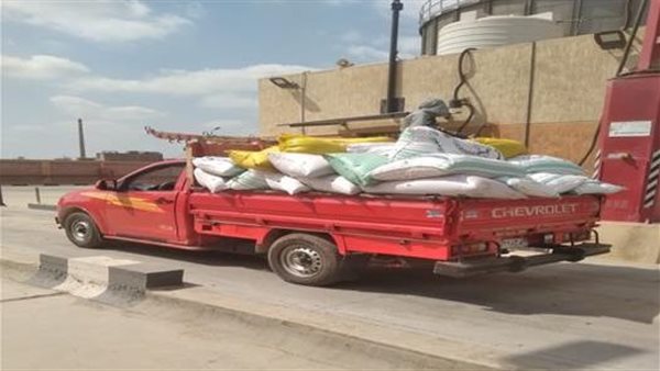 تسهيلات يومية للمزارعين لتذليل عقبات توريد القمح المحلي