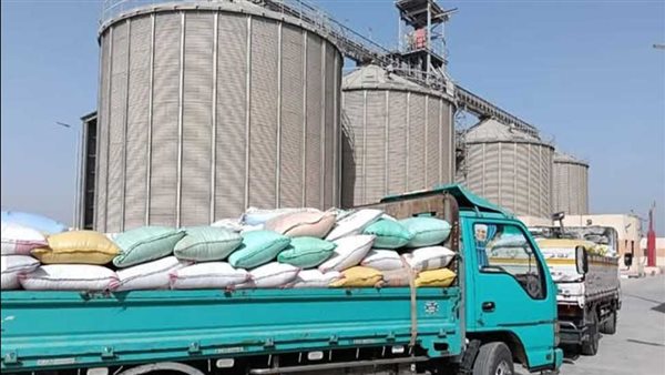 توريد 26 ألفًا و415 طن قمح في الوادي الجديد