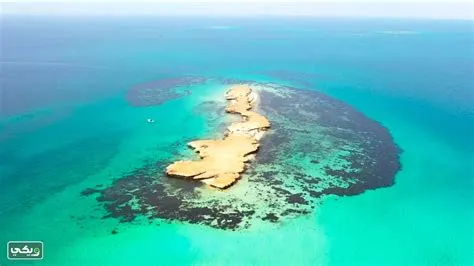 جزر فرسان تبرز كوجهة طبيعية في جازان وتجذب السياح من خلال مفهوم الاستدامة