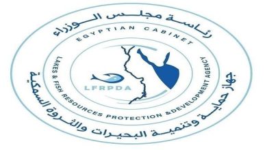 جهاز حماية وتنمية البحيرات يعلن عن إنتاج 77 طنًا من الأسماك في موسم الحصاد الحالي