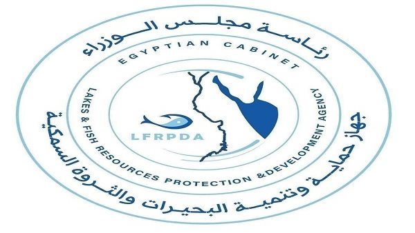 جهاز حماية وتنمية البحيرات يعلن عن إنتاج 77 طنًا من الأسماك في موسم الحصاد الحالي
