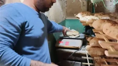 حملات رقابية موسعة تستهدف الإقامة والعمل على الحدود وتضبط آلاف المخالفات