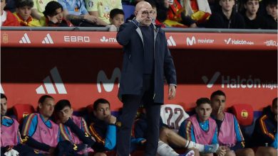 دي لا فوينتي يعلق على انتقاد الجماهير الإسبانية لمنتخب مصر: لا توجد خطوات يمكن اتخاذها