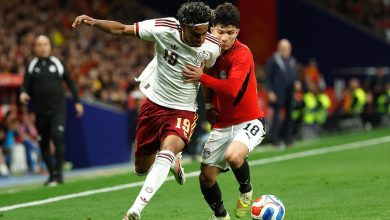 رئيس الاتحاد الإسباني يدين التصرفات المسيئة من الجماهير تجاه منتخب مصر