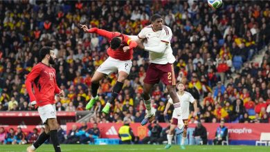 رئيس حركة مكافحة التعصب في إسبانيا: الأحداث ضد مصر ليست مصادفة