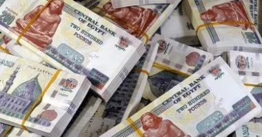 زيادة المرتبات حسب الدرجة الوظيفية في جدول الأجور الجديد تتصدر الاهتمام