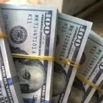 سعر الدولار في البنك المركزي يسجل 51.67 جنيه اليوم الاثنين 20-4-2026