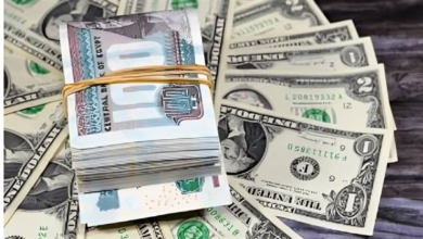 سعر الدولار مقابل الجنيه المصري قبل انطلاق التداولات الأسبوعية في البنوك