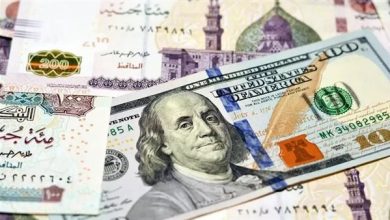 سعر الدولار مقابل الجنيه المصري يسجل مفاجأة في ختام تعاملات الأسبوع