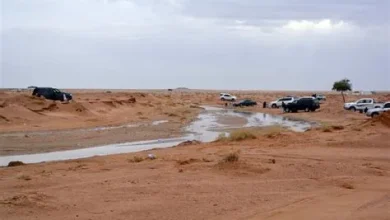 صحاري الشمال تتفتح في الربيع وتجذب عشاق الرحلات البرية