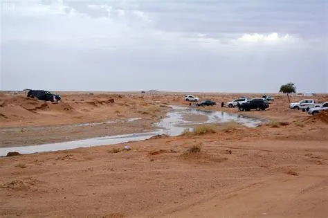 صحاري الشمال تتفتح في الربيع وتجذب عشاق الرحلات البرية