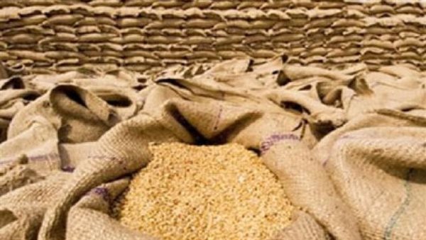 غرفة الحبوب تعلن زيادة سعر توريد أردب القمح المحلى إلى 2500 جنيه لموسم 2026