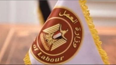 فرص عمل جديدة: 255 وظيفة براتب يصل إلى 9 آلاف جنيه في شركات كبرى