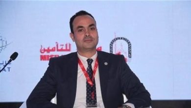 متحدث البترول يعلن عن خطة لتحويل عام 2026 إلى عام العلامة الفارقة في احتياطيات مصر المكتشفة