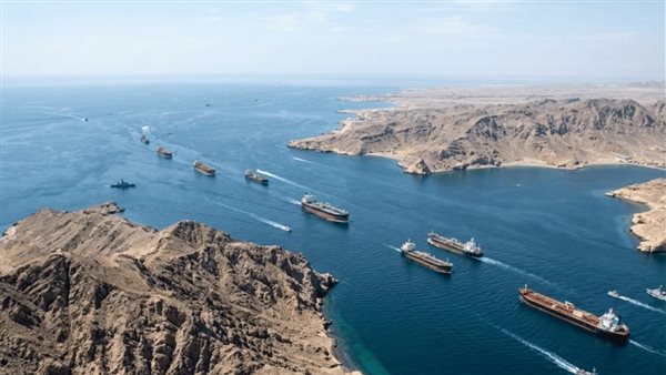 مسؤول بـ«الفاو» يحذر من تأثير إغلاق مضيق هرمز على أزمة الغذاء والأسعار العالمية