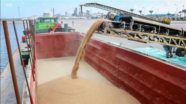 ميناء دمياط يستقبل 17 سفينة محملة بشحنات قمح وزيت طعام وذرة