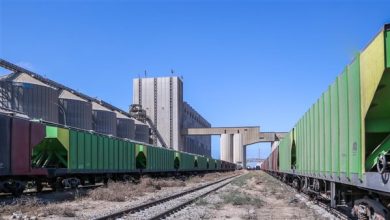 ميناء دمياط يستقبل 29 سفينة للحاويات والبضائع العامة