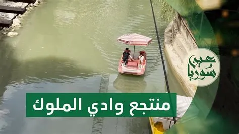 وادي الحريق يجذب الزوار بجمال الطبيعة الربيعية شمال شقراء