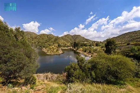 وادي ضرك يتحول إلى لوحة ربيعية ساحرة عقب هطول الأمطار