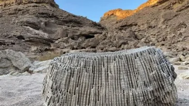 وادي عين النبي في برهاط ينقل السياح إلى عبق التاريخ وجمال الطبيعة شمال شرق مكة المكرمة