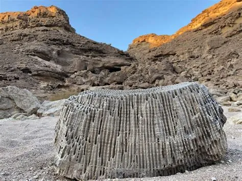 وادي عين النبي في برهاط ينقل السياح إلى عبق التاريخ وجمال الطبيعة شمال شرق مكة المكرمة
