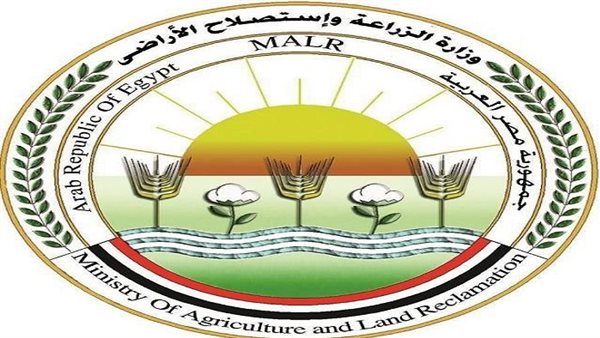 وزارة الزراعة تحصين 3.9 مليون رأس ماشية ضد الجلد العقدي وجدري الأغنام