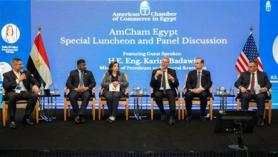 وزير البترول يؤكد أن المحفزات ساهمت في revitalizing استثمارات البحث والإنتاج بالقطاع