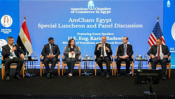 وزير البترول يؤكد أن المحفزات ساهمت في revitalizing استثمارات البحث والإنتاج بالقطاع