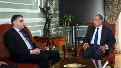 وزير الخارجية ورئيس «الشراء الموحد» يتباحثان حول تعزيز دخول الدواء المصري للأسواق الإفريقية
