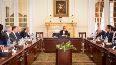 وزير الخارجية يستقبل وفد غرفة التجارة الأمريكية في القاهرة لتعزيز التعاون الاقتصادي