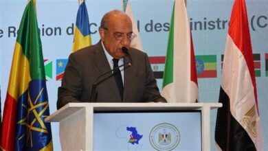 وزير الكهرباء يؤكد أهمية التكامل الإقليمي لتعظيم الاستفادة من الموارد المتاحة