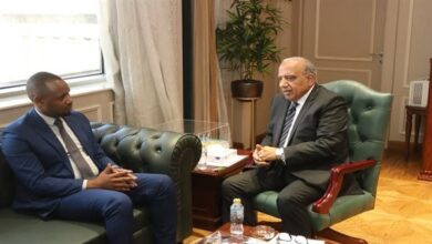 وزير الكهرباء يؤكد أهمية تعزيز التعاون الإقليمي مع أفريقيا من خلال الشراكة وتبادل الخبرات