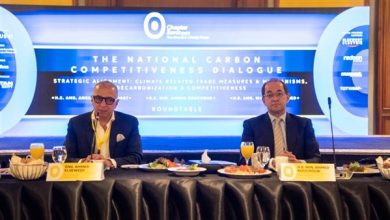 وزير المالية يؤكد استراتيجيتنا لتعزيز كفاءة استخدام الطاقة في الاقتصاد المصري