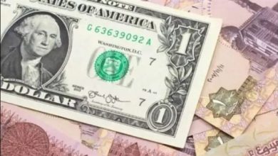 وزير المالية يعلن خفض الدين الخارجي بمقدار 2 مليار دولار سنويًا