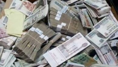 الحكومة تحذر من مخاطر المنصات المالية غير المرخصة وتحث على عدم التفريط في الأموال