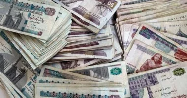 خزينة الدولة في أمان والفائض الأولي في مصر يتجاوز 748 مليار جنيه