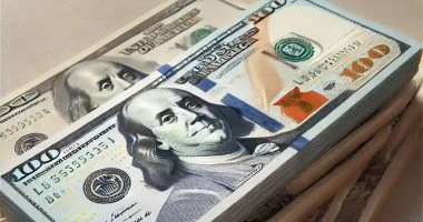 سعر الدولار اليوم في بنك البركة يصل إلى 53.55 جنيه للشراء